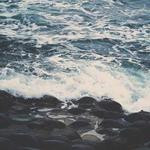 Elmore Koss Profile Picture