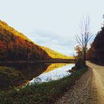 Myrl Stiedemann Profile Picture