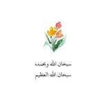 Nourhan Mohamed Profile Picture