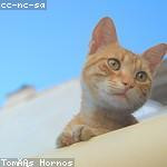 Burnice Batz Profile Picture