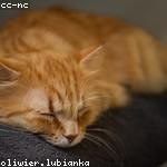 Margarett Bernhard Profile Picture